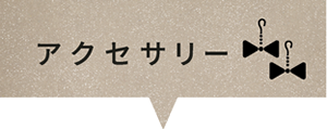 アクセサリー